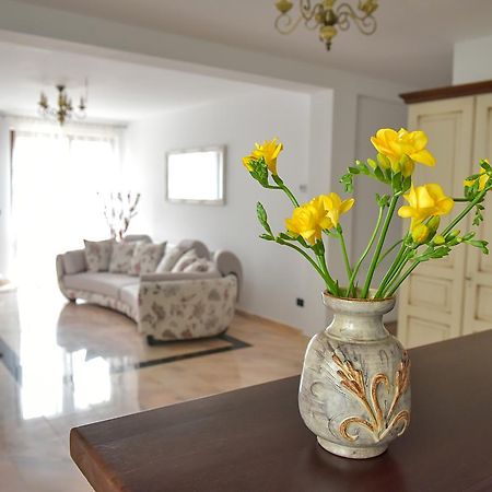 San Grecu House Apartment Fagaras Luaran gambar