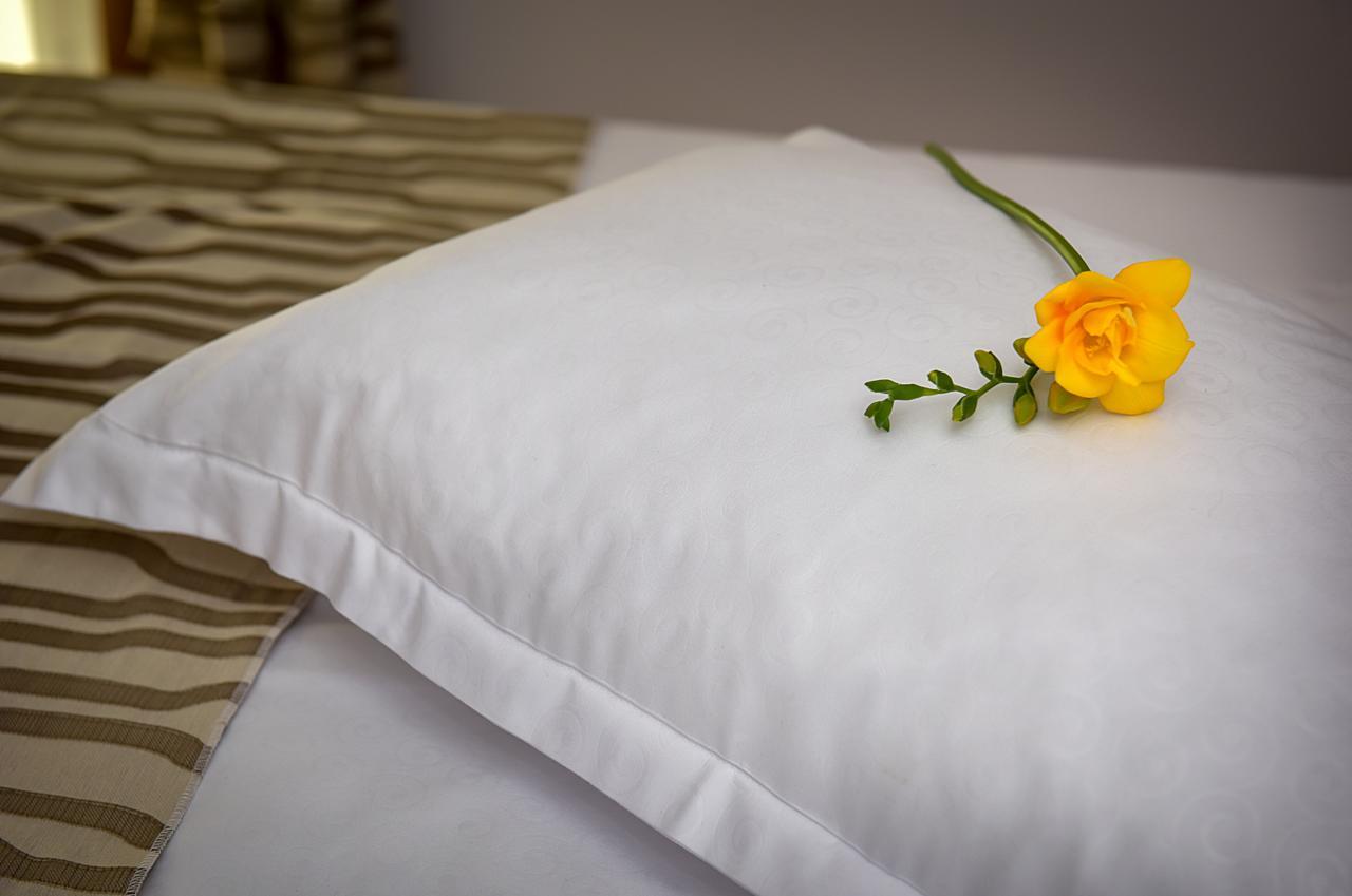 San Grecu House Apartment Fagaras Luaran gambar